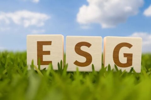 【金证观点】解读ESG与碳边界调节机制，创造企业价值的可持续之道