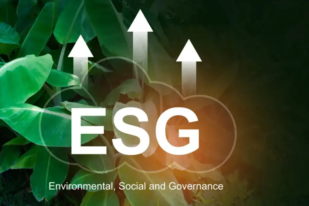 【金证ESG】2024政策回顾(二):交易所发布新规,A股可持续发展信息披露要求提升