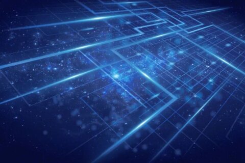 金证评估开展信息系统培训，以自建系统为基助力业务规范高效开展