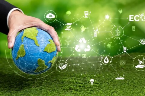 金证ESG市场洞察（一）：A股ESG报告披露率持续提升，2024年创新高