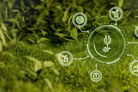 【金证ESG】响应国际主流ESG评级体系，提升企业国际竞争力