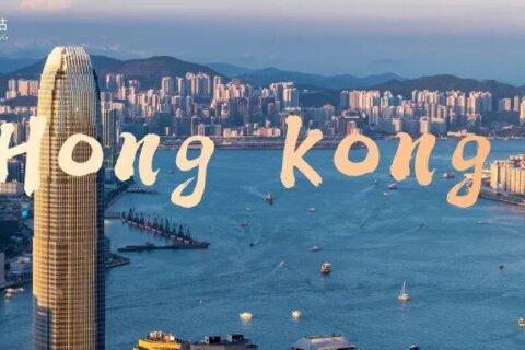 金证评估香港子公司正式注册成立，跟随客户出海战略布局再谱新篇