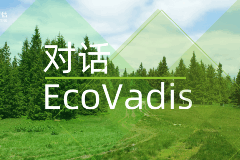 【金证ESG】对话EcoVadis，共探企业可持续发展评级提升之路