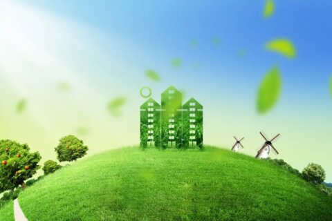 【金证观点】中共中央办公厅、国务院办公厅《关于推进绿色低碳转型加强全国碳市场建设的意见》解读