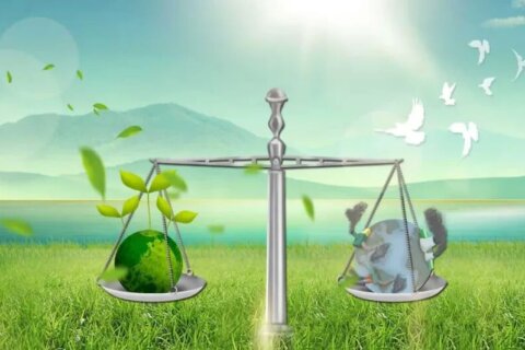 金证ESG | 十年攻坚再出发，COP30锚定气候行动新路径