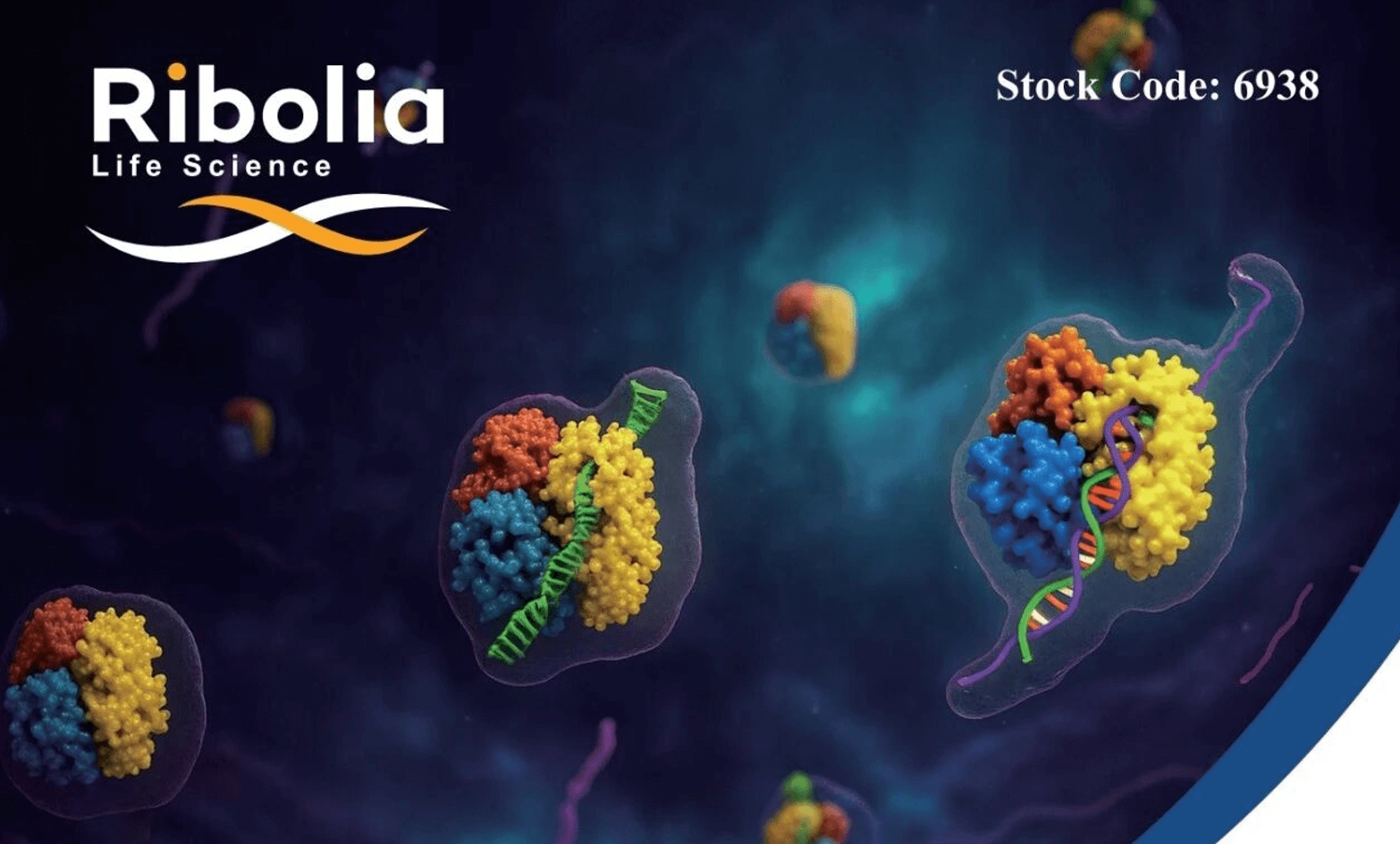 金证评估助力瑞博生物港交所上市,提供全方位估值服务赋能