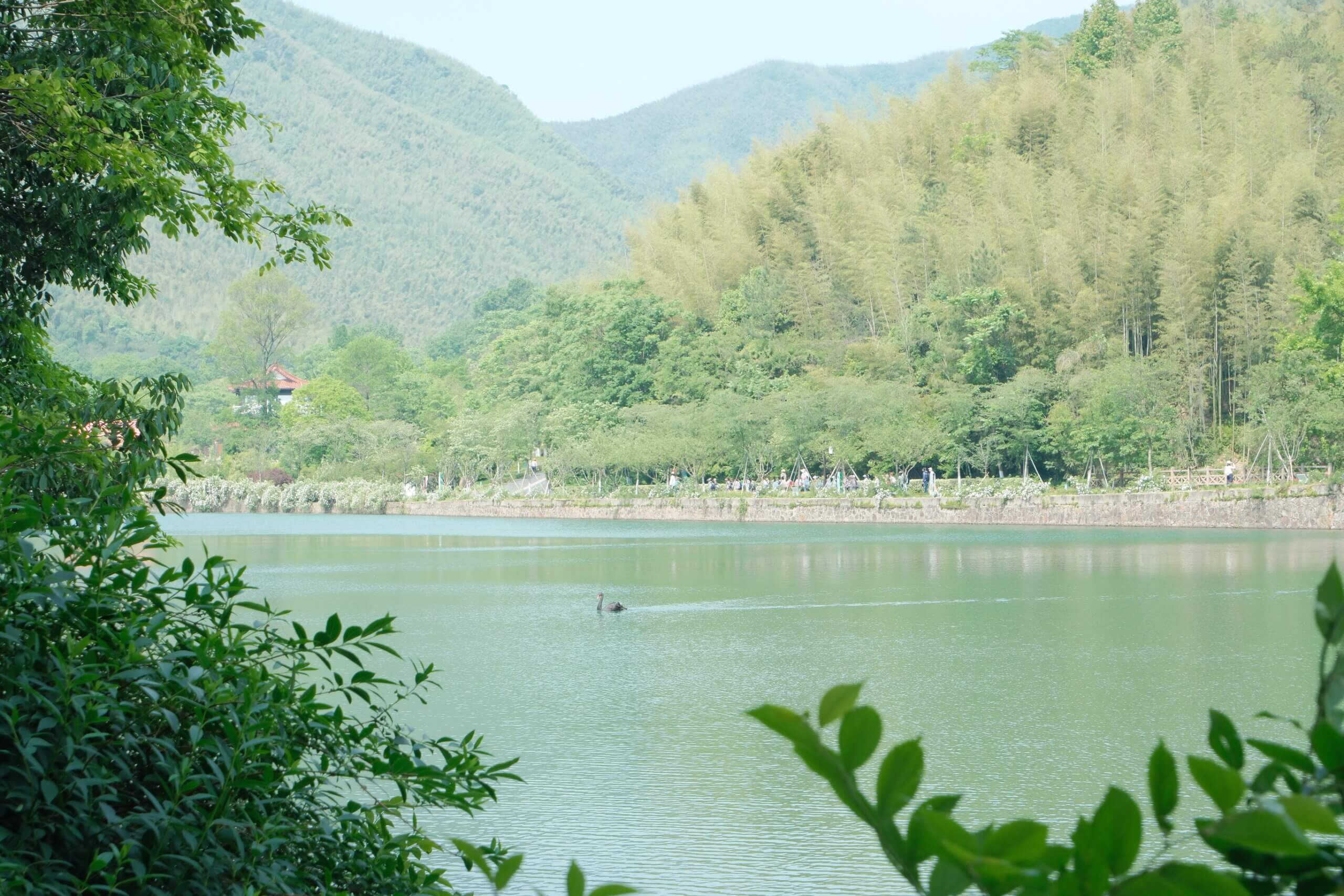 陶都寻韵，共赴山海 | 金证评估宜兴团建札记