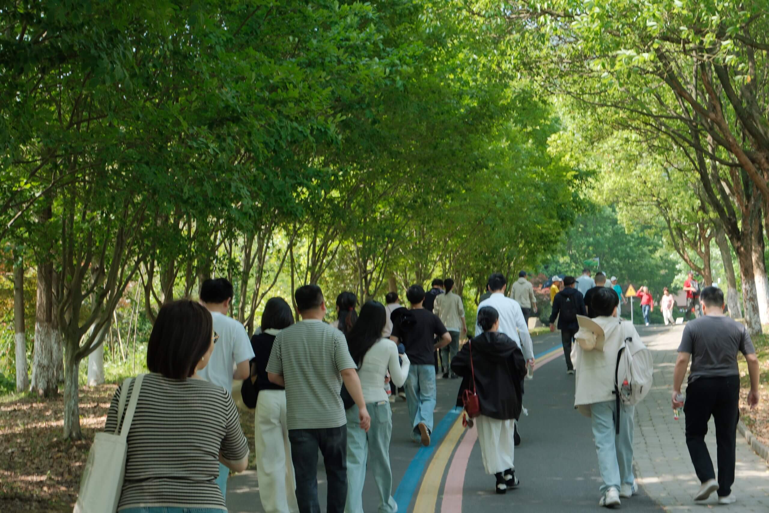 陶都寻韵，共赴山海 | 金证评估宜兴团建札记