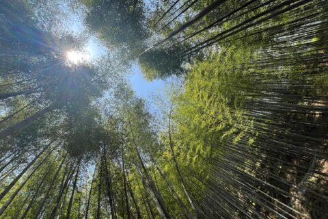 陶都寻韵，共赴山海 | 金证评估宜兴团建札记