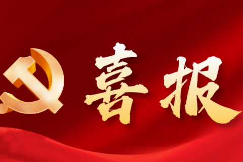 喜报｜金证评估获评江苏省资产评估行业先进资产评估机构党组织，合伙人陈蓓获评优秀共产党员